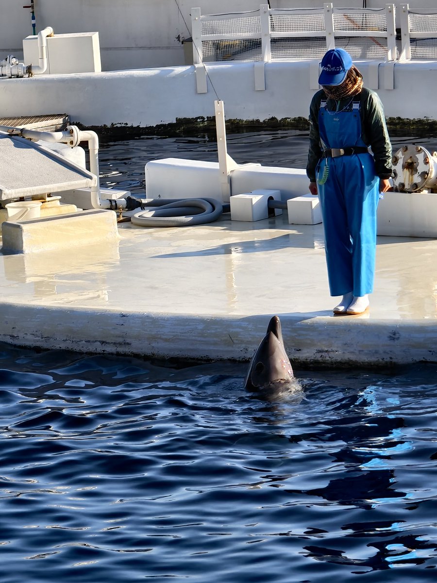 Cpathfinder tweet media