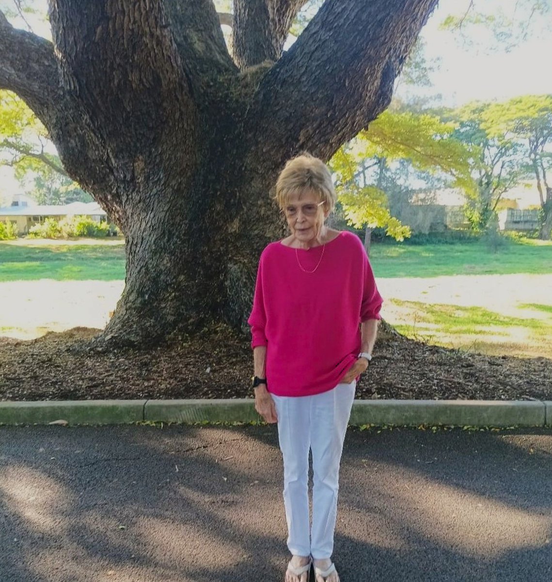 Townsville City Council tweet media