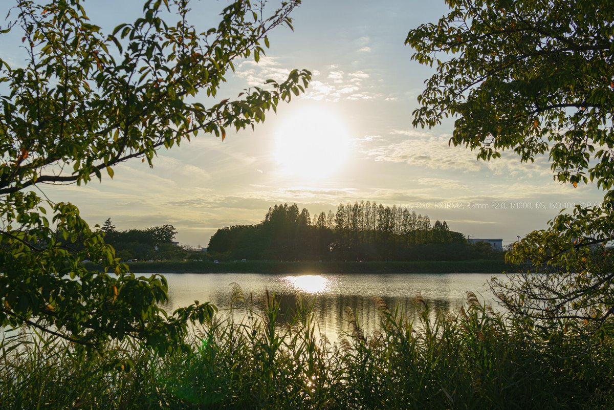 R SATO（佐藤　玲）@C108申し込みました tweet media