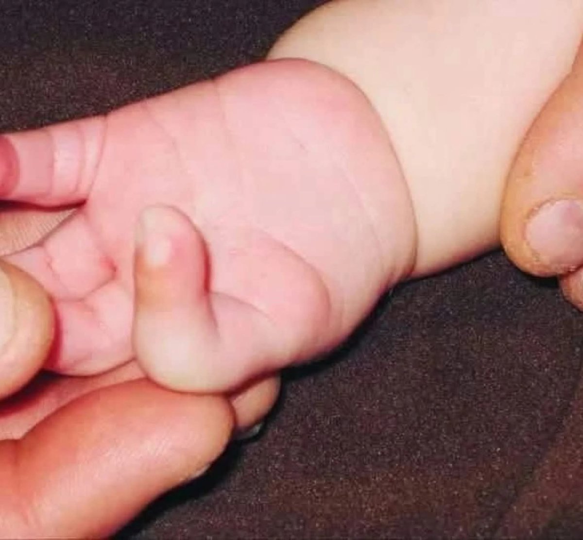 Jenn Neville-Lake tweet media