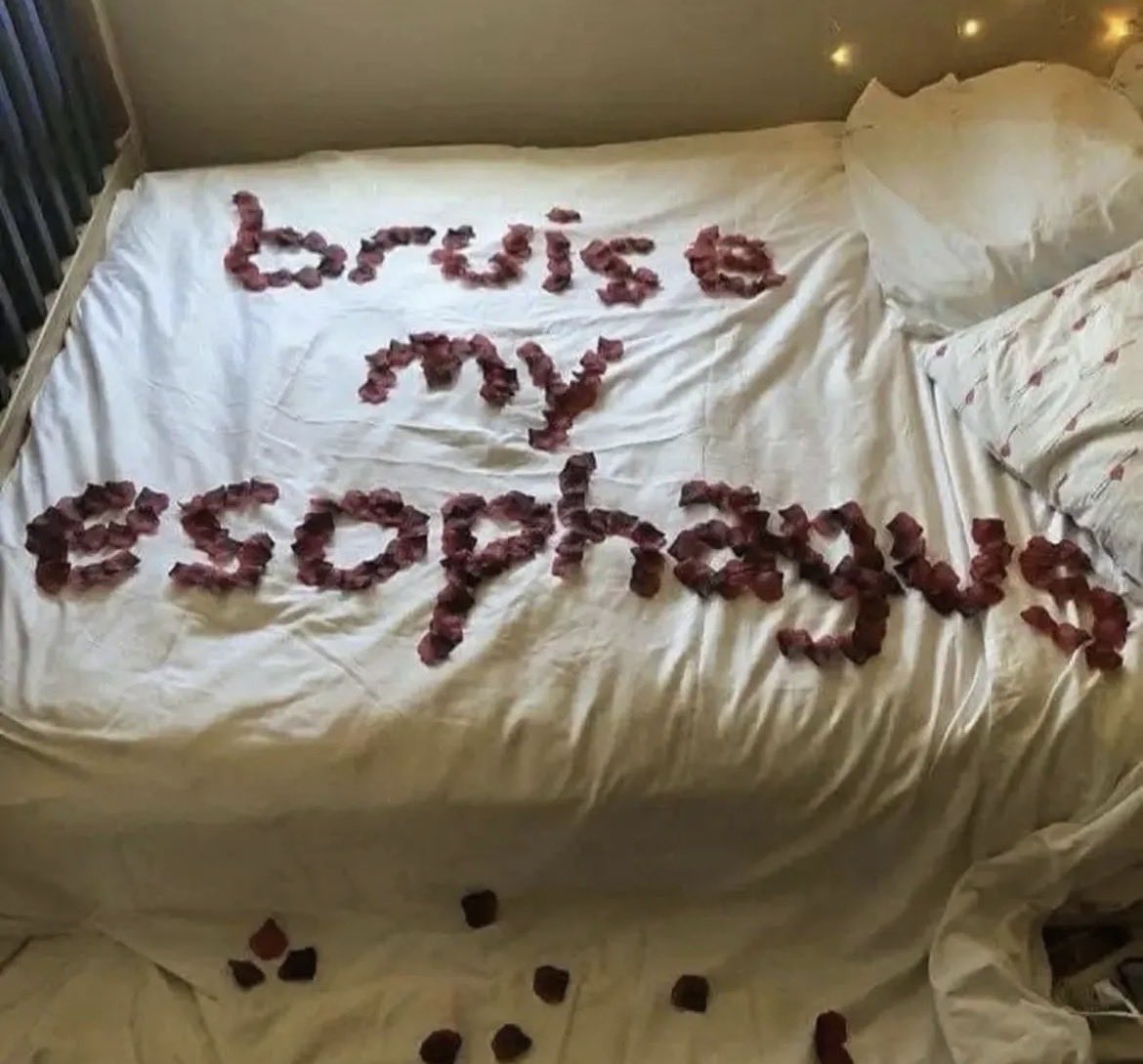 justanotherbwc tweet media