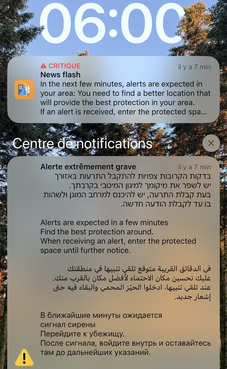 Jordan Florentin tweet media