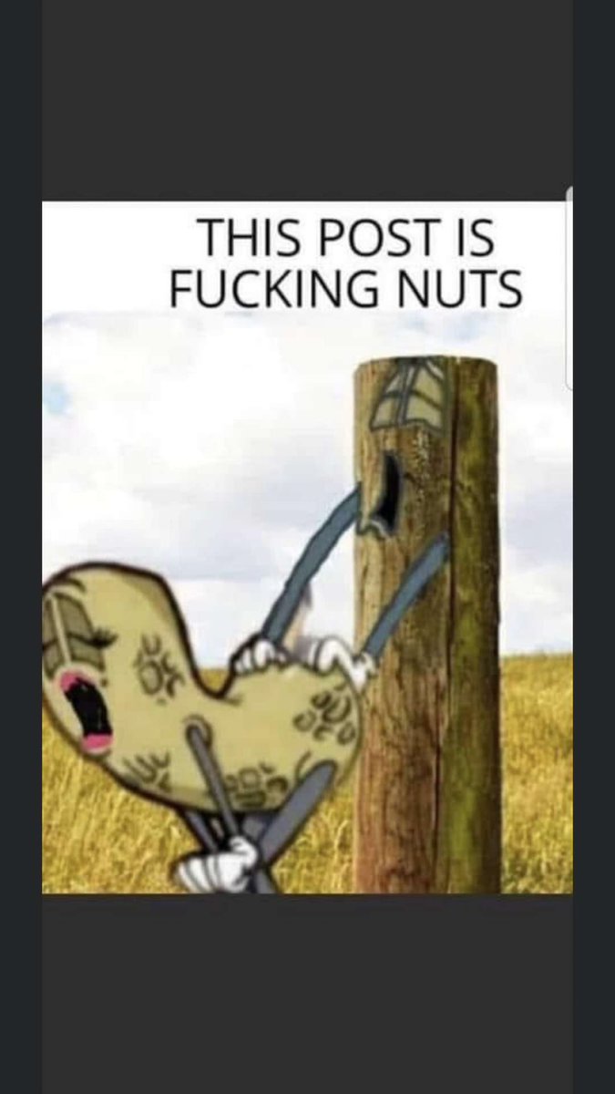 PTPHDF's tweet photo. @CCRWRSWAM @SunBelt @SouthernMissBSB https://t.co/EtXGZziooT