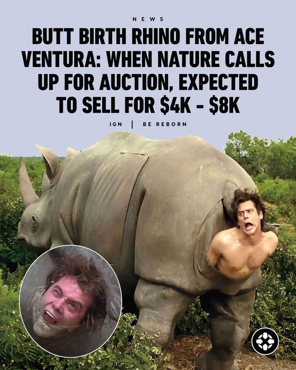 F.I. Squirrel tweet media