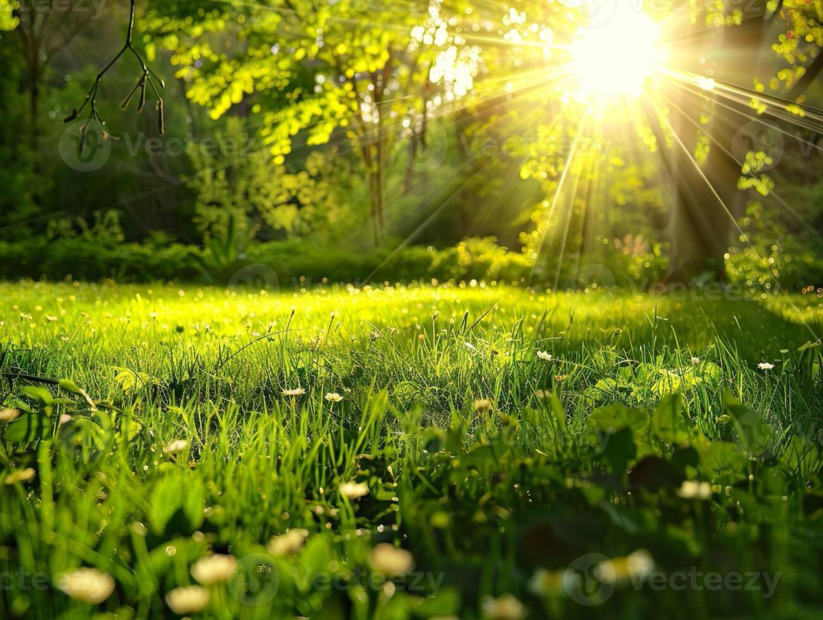 May today be a chapter of victory in your life story. I pray for focused ambition and the perseverance to see every task through to success. 
I send an encouraging morning prayer your way, asking that any seeds of doubt be replaced with unshakable belief in your own amazing