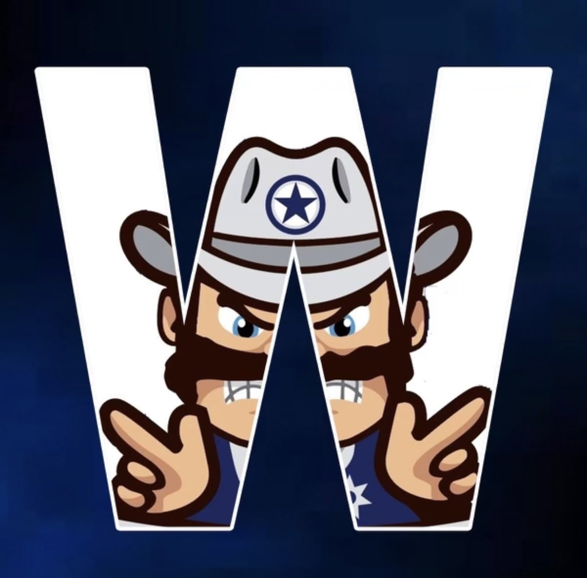 Lone Star Softball tweet media