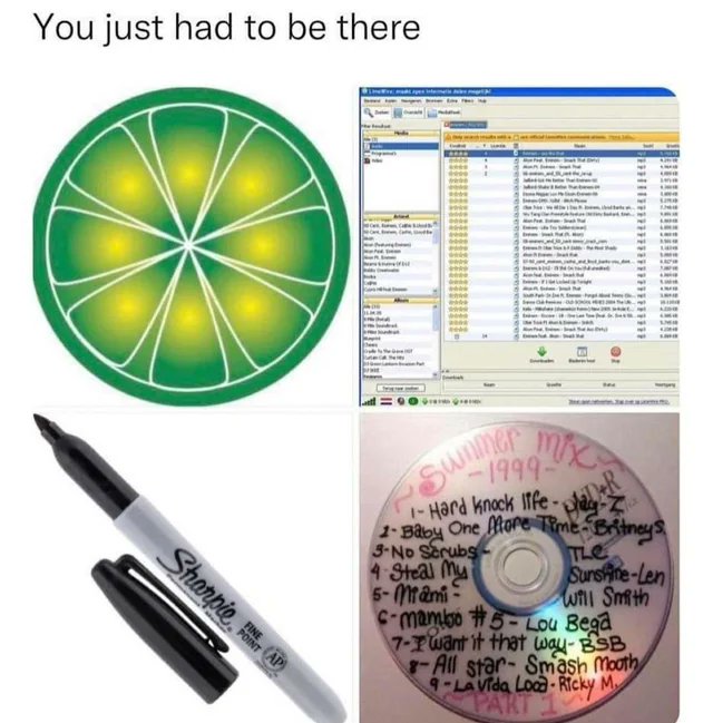 Destroying the family computer one song at a time.