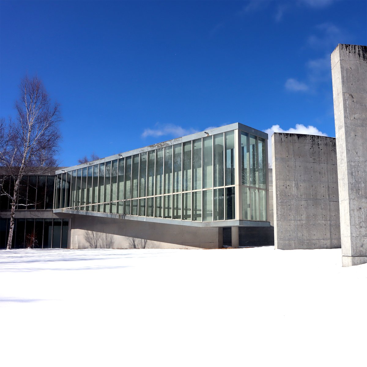 昨日今日で雪景色に舞い戻る。
真っ青と真っ白。
今なら足跡つけ放題です。
