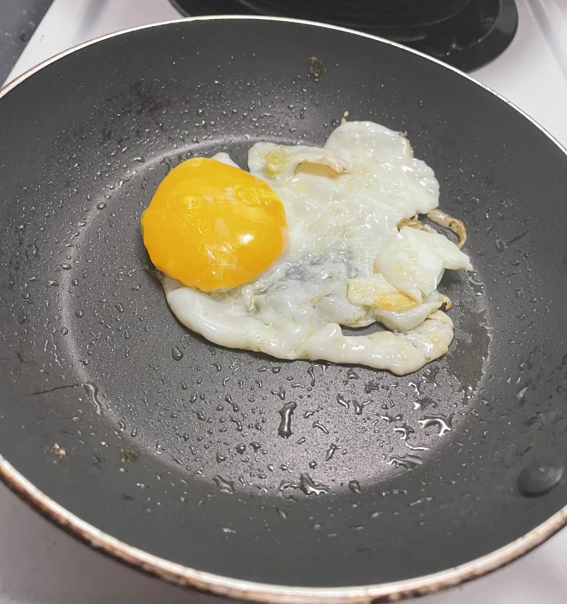 Shoomimi 🦾🧠 Brain In a Jar tweet media