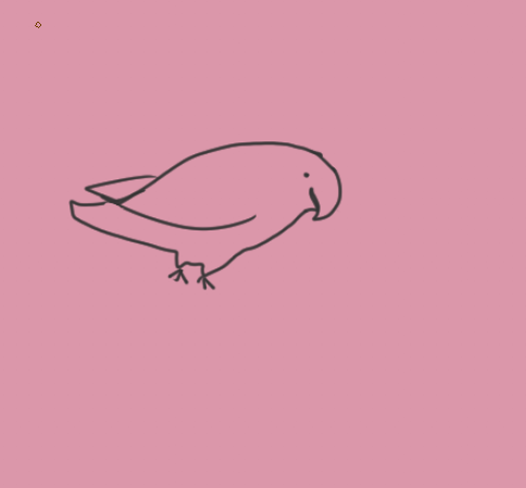 pukekoku tweet picture