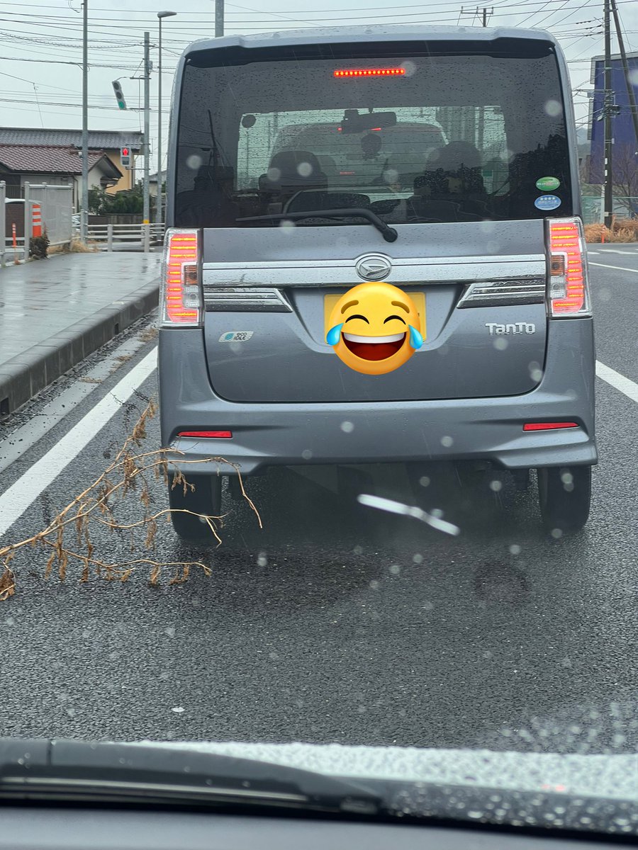 EP3_a_n's tweet photo. お散歩中❓ https://t.co/JS6x5jdrCg