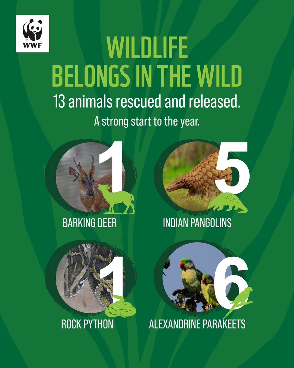 WWF-Pakistan tweet media