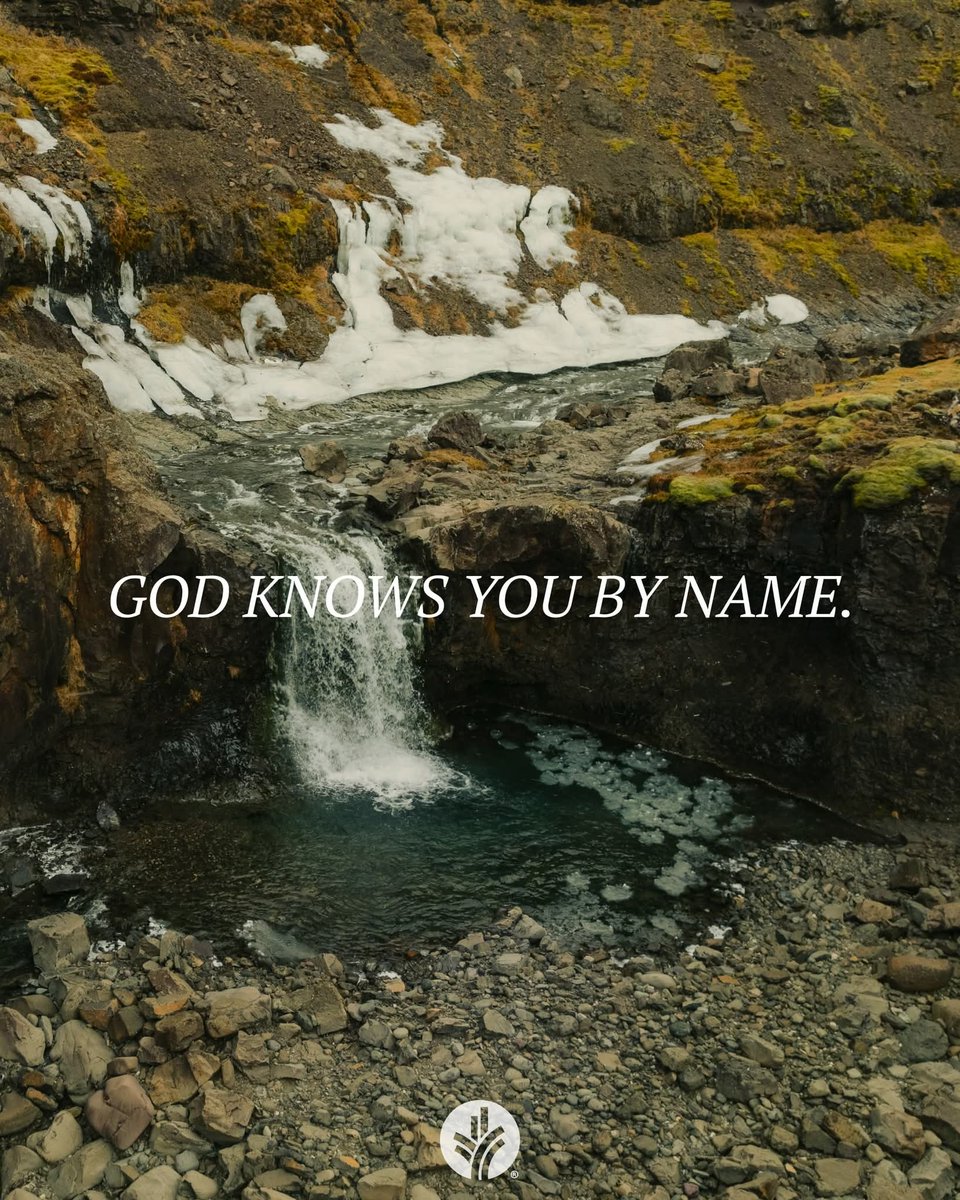 When have you felt overlooked and undervalued? How does knowing that God included unnamed women in His catalog of contributions encourage you?

Dear God, thank You that You see me, know me, and value all I give You.