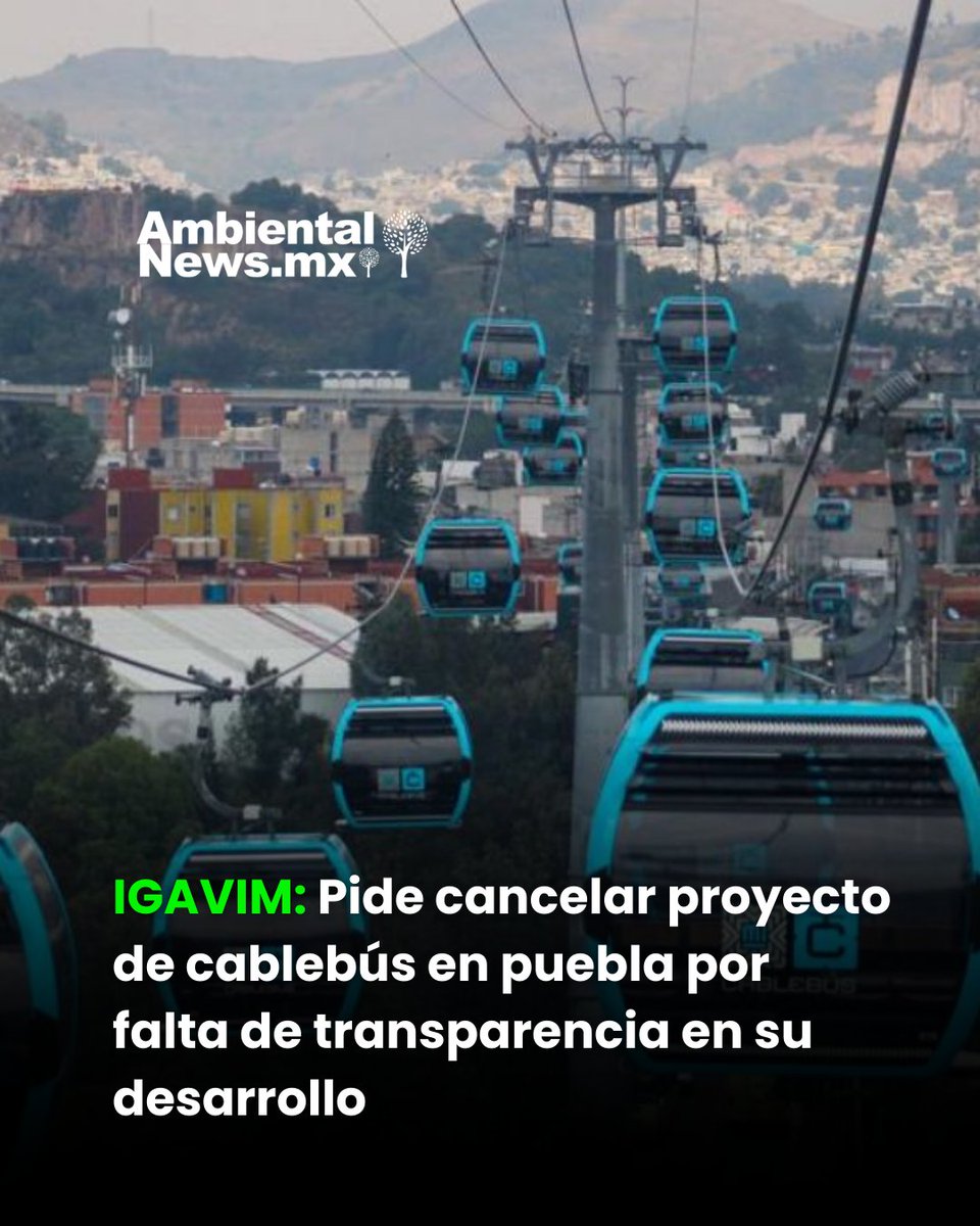 El cablebús podría causar un impacto ambiental, debido a su construcción   
Conoce todos los detalles aquí: tinyurl.com/58hvd6rj 
 #CablebusPuebla #IGAVIM #CeroTransparencia