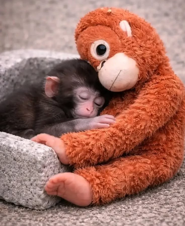 Beautiful views (@magicalnature5) on Twitter photo 