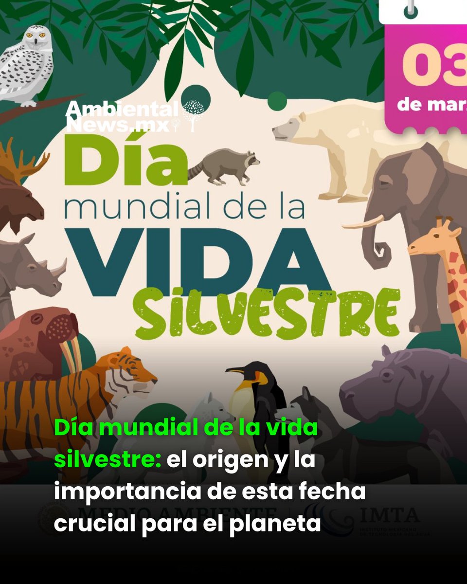 ¡Hoy 🌟 no es un día cualquiera 🗓️ en el calendario! Este 3 de marzo 🌿 es la fecha clave para el futuro de millones de especies 🐾 y qué tiene que ver con nuestra propia supervivencia.
Descubre la historia detrás de esta fecha internacional y cómo puedes ser parte de la