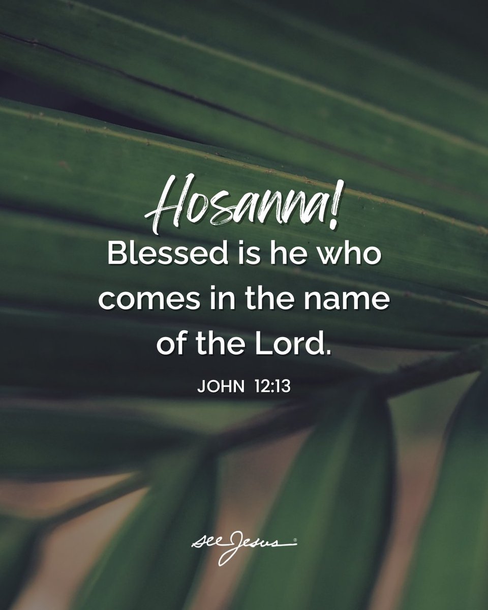 seeJesus's tweet photo. Today is Palm Sunday — the beginning of Passion Week.

This week, we're slowing down to see Jesus as He truly is: raw, real, and full of passion.

Read today's devotion: https://t.co/KEOImp4IoB https://t.co/SB0vn8ciXv