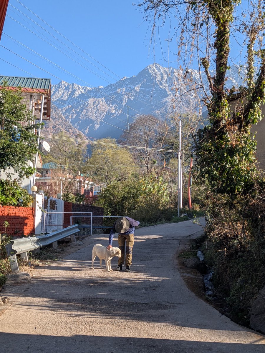 comfortblyNummb's tweet photo. Today I walked 5 kms and made few friends https://t.co/6a0Xo2BmE6