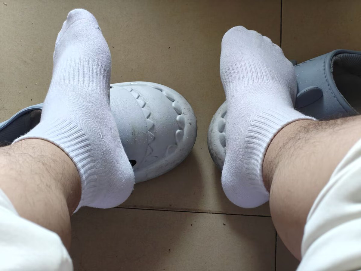 河大大 tweet media