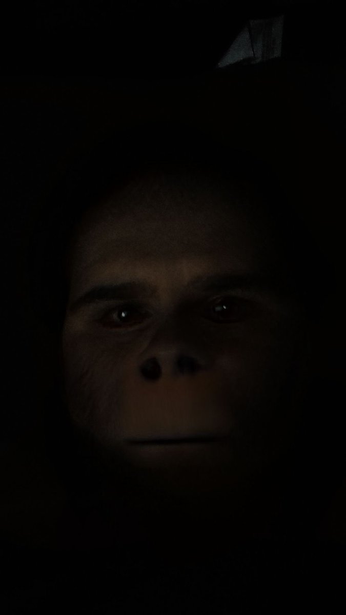 SHXMEFUL tweet media