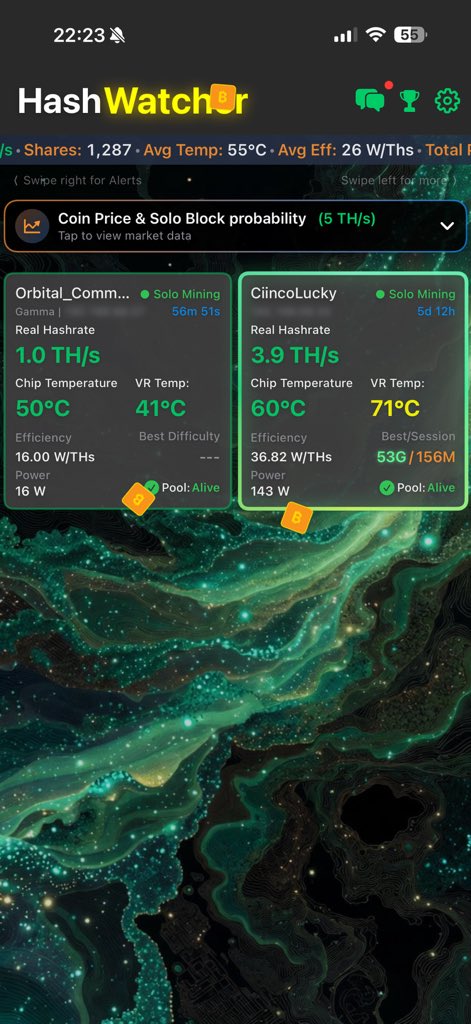 Cinco Doggos Ranch 🧡 ₿ Mining Services tweet media