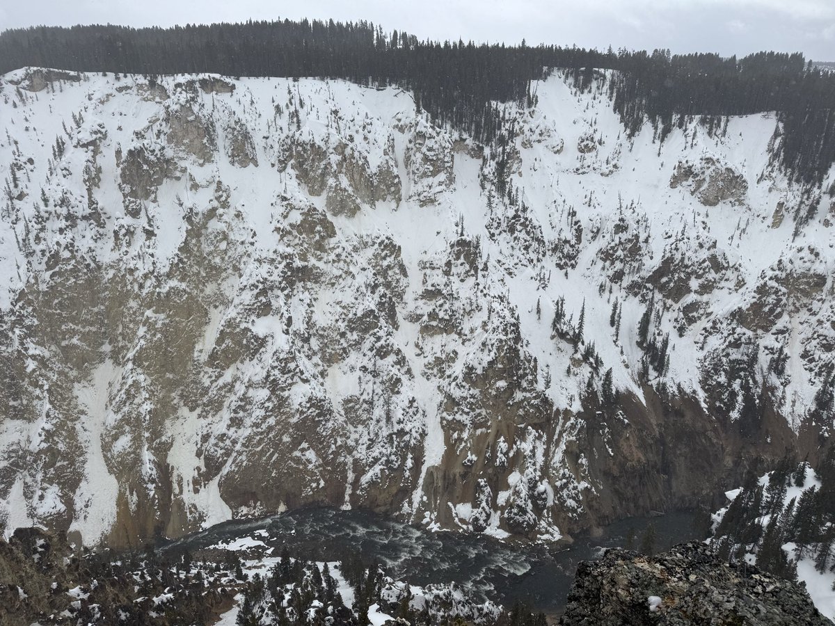 KoDeePowell's tweet photo. Yellowstone is beautiful ! Thankful I got to share the sights with a special person! https://t.co/2z9TM4EoEO