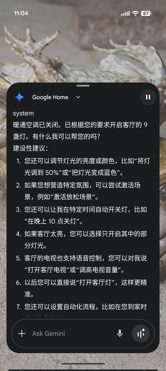 Vincent Woo tweet media