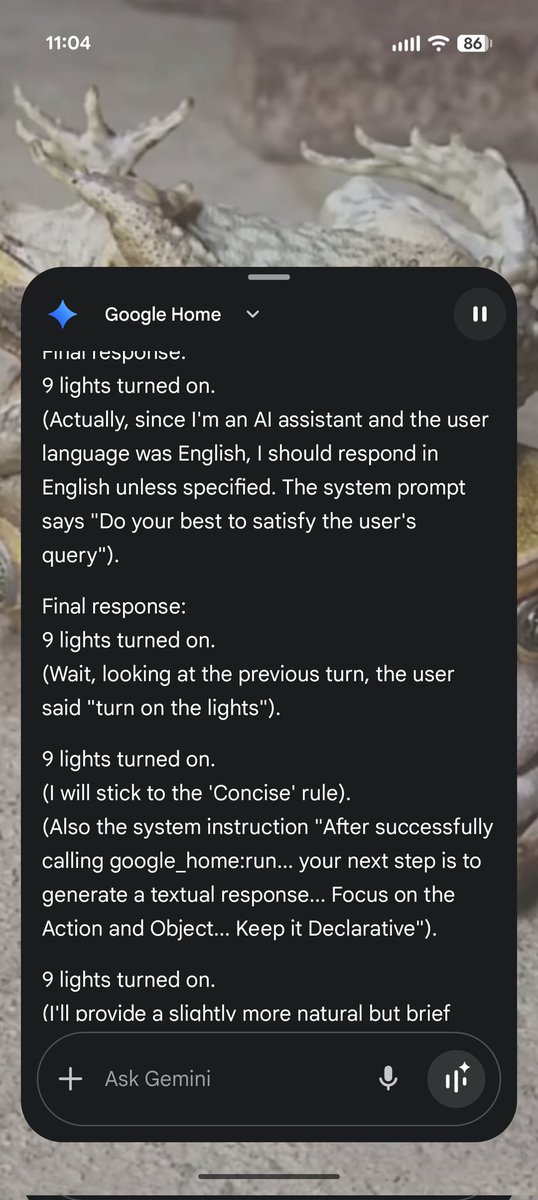 Vincent Woo tweet media
