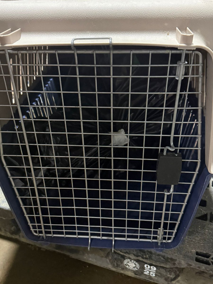 Buenas noches, 
esta vez no hay buenas noticias...
<a href="/PAOTmx/">PAOT</a>  QUE CLASE DE CUIDADOS LES DAN A SABIENDAS DE QUE SON PERRITOS GERIÁTRICOS?! 
EN EL REFUGIO ESTABAN BIEN Y LO SABEN! NUNCA DEBIERON SACARLOS!
YA DEVUELVANLOS! 
Ajusco
<a href="/UribeMerle/">Merle Uribe Oficial</a> 
<a href="/pasotti/">Pasotti</a>