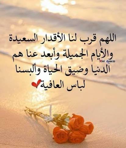 fmsrff's tweet photo. https://t.co/RdkR6JrDSl