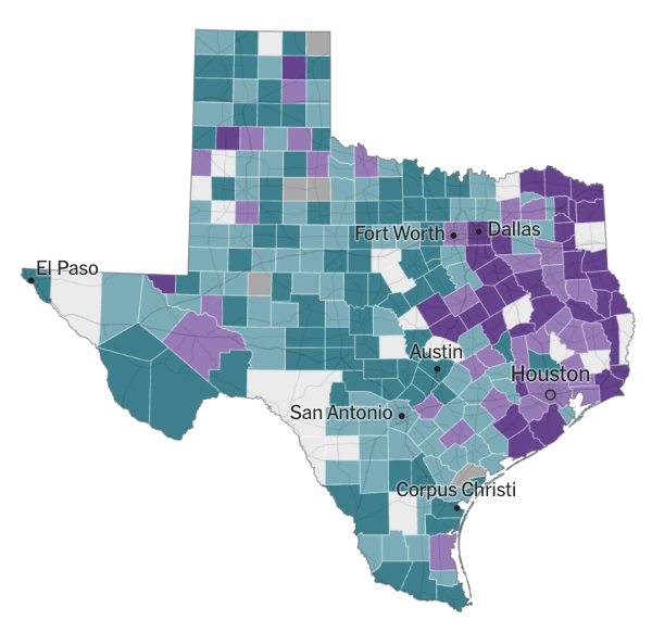 Zachary Donnini tweet media