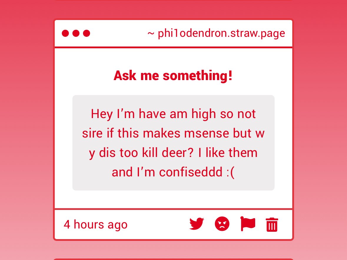 spencer 𓆟 tweet media