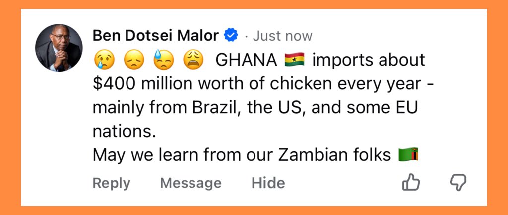 The Africa Xperience tweet media