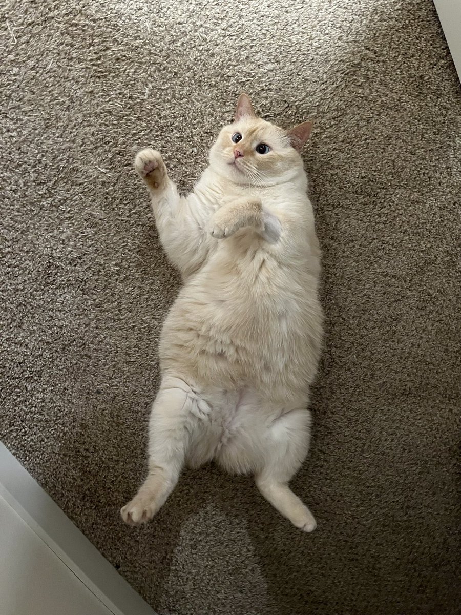 Princess Peach tweet media