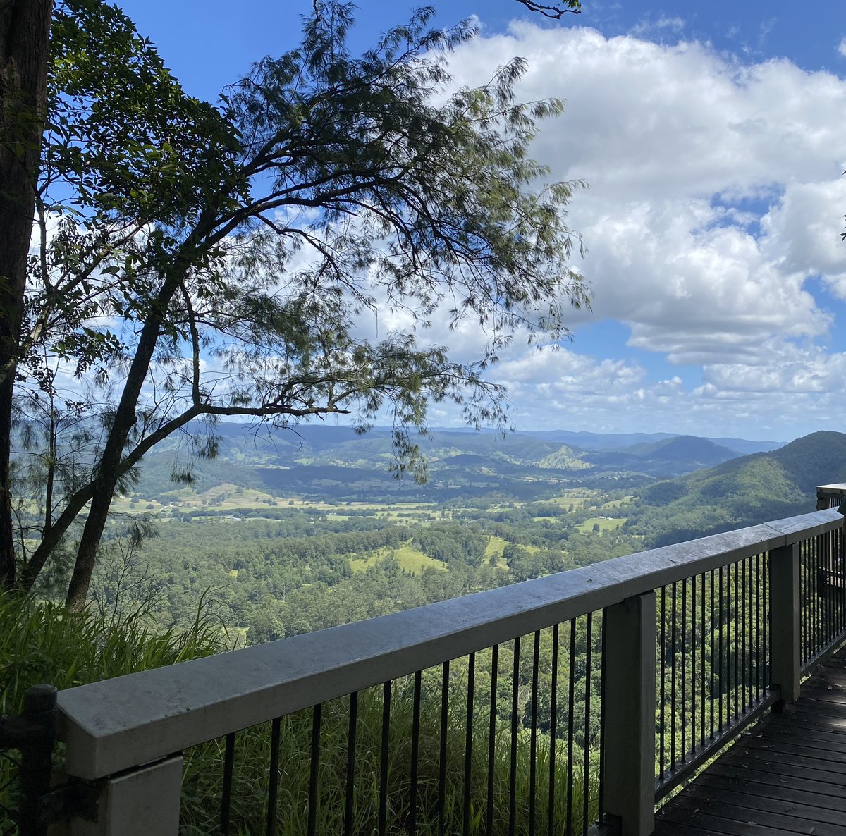 roamingfox | Alma tweet media