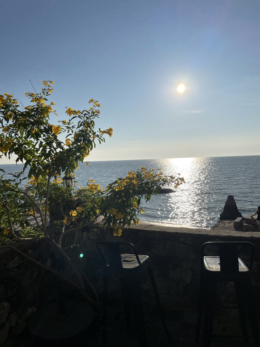 Pi 🐈‍⬛ tweet media