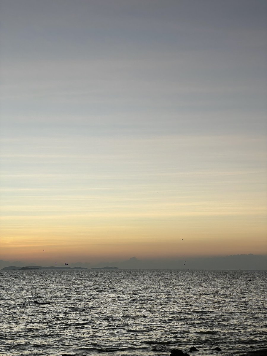 Pi 🐈‍⬛ tweet media