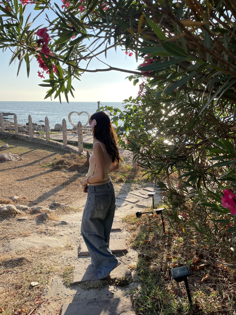 Pi 🐈‍⬛ tweet media