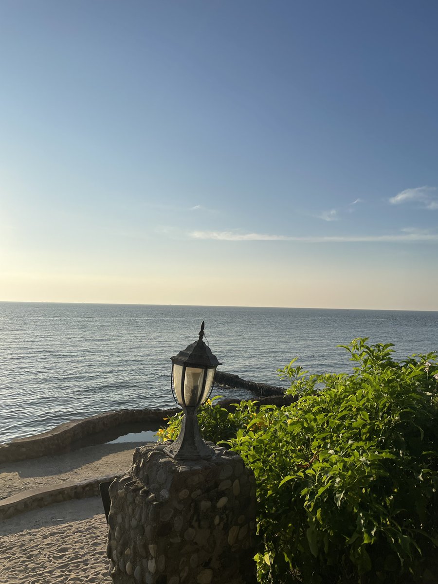 Pi 🐈‍⬛ tweet media