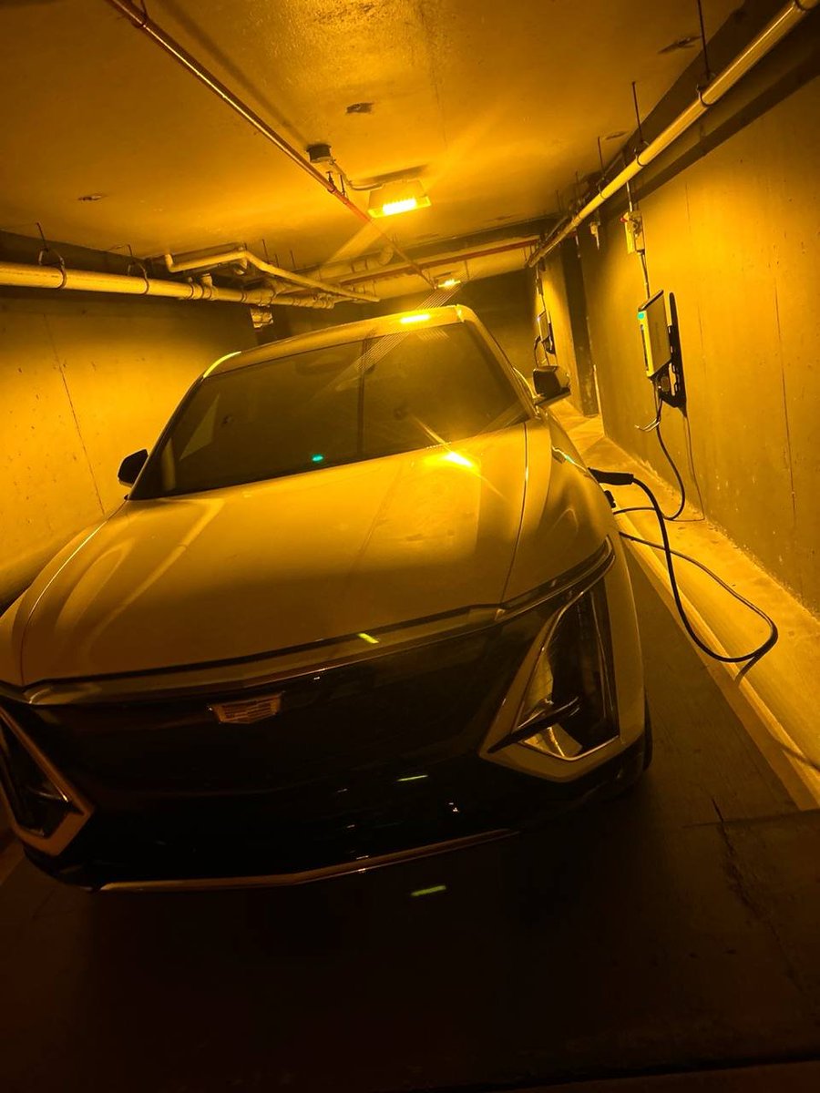 FritoLaze tweet media