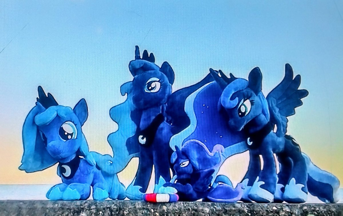 ルナのぬいぐるみにも逆向き🌙がいた