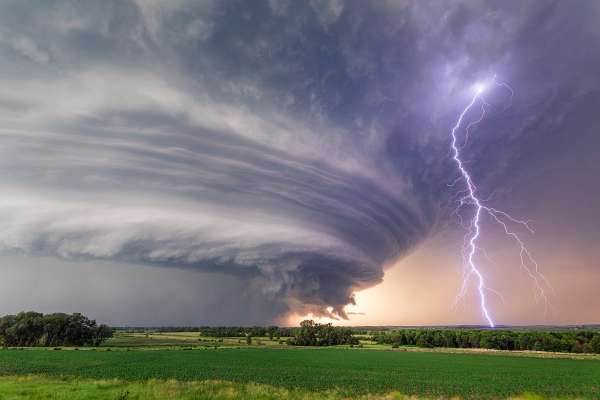 John Sirlin tweet media