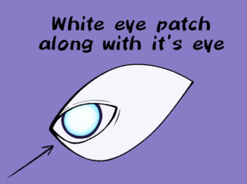 ₹xC Øg :Þ 🔞 tweet media