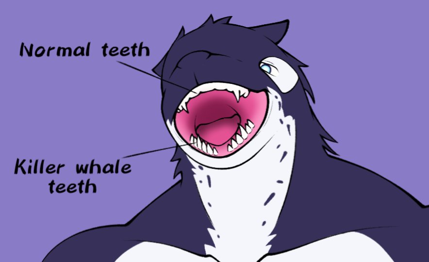 ₹xC Øg :Þ 🔞 tweet media