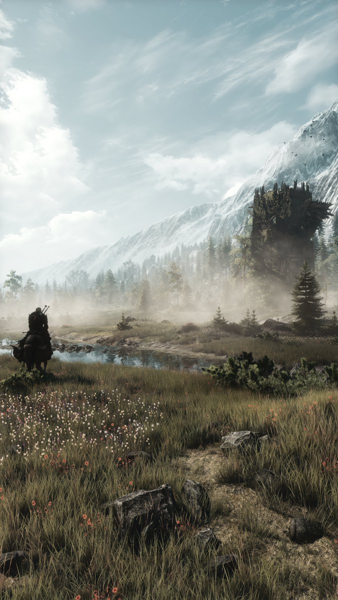 ZeroKing tweet media