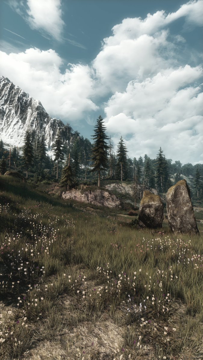 ZeroKing tweet media