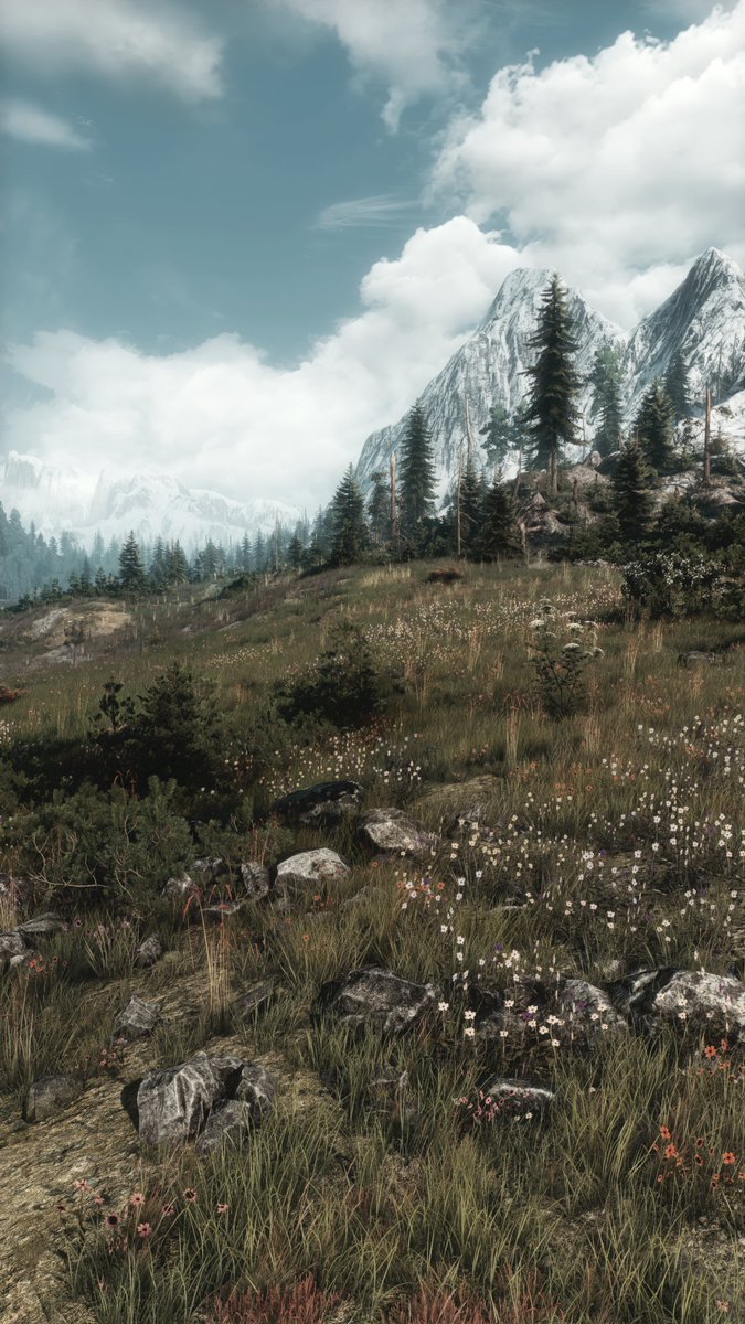 ZeroKing tweet media