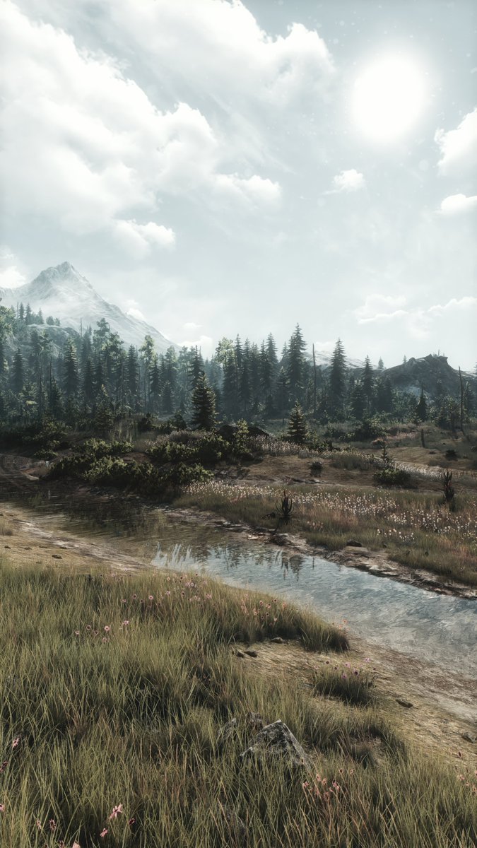 ZeroKing tweet media