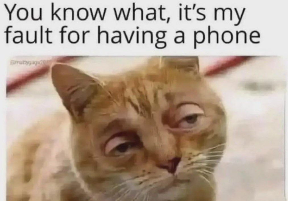 Cheese Review (temp) tweet media