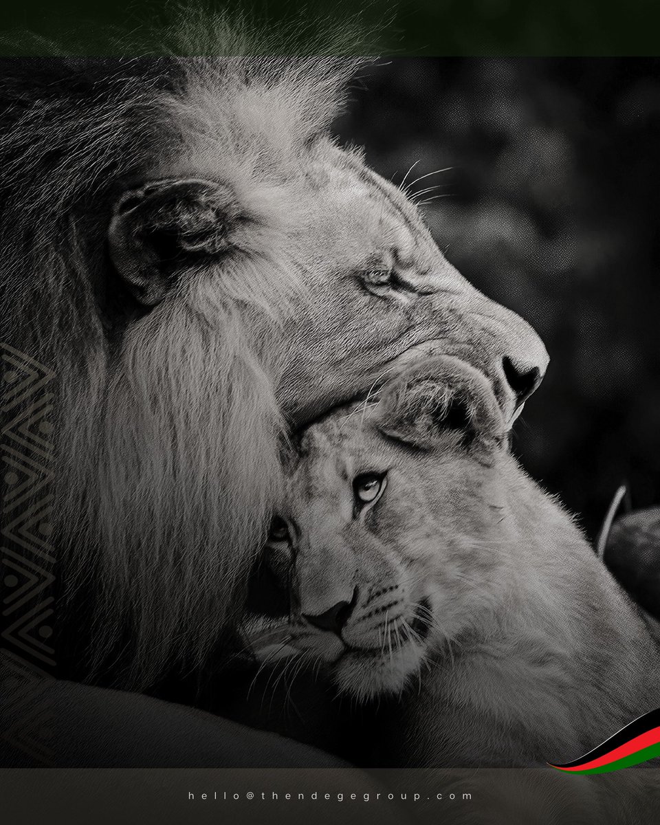 NdegeFoundation's tweet photo. Trustees, Guardians, SPV boards and strategic partners govern The Ndege Foundation© and @TheNdegeGroup: industry principals, mentoring, monetising and managing Africa’s Sovereign Development Trust® as the continent’s foremost sovereign institution under establishment. https://t.co/zUCI6jTPAZ